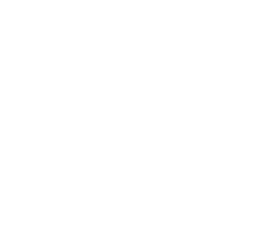 The Balanced Coach logo